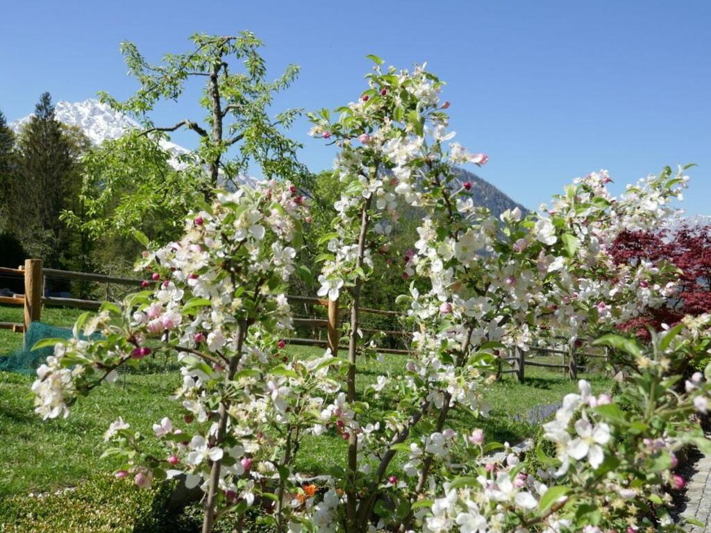 Malerhaeusl Modern Retreat Villa Schönau am Königssee Buitenkant foto